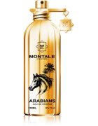 Montale Arabians parfumska voda uniseks 100 ml