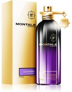 Montale Oud Pashmina parfumska voda uniseks 100 ml