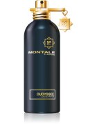 Montale Oudyssee parfumska voda uniseks 100 ml