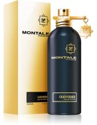 Montale Oudyssee parfumska voda uniseks 100 ml