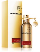 Montale Red Vetiver parfumska voda za moške 50 ml