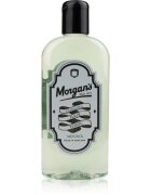 Morgan's Cooling Tonic lasni tonik 250 ml