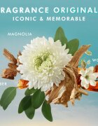 Moroccanoil Body Fragrance Originale hranilna krema za telo 360 ml