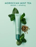 Moroccanoil Lip Balm balzam za ustnice odtenek Moroccan Mint Tea 15 g