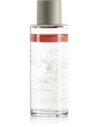 Mühle After Shave Lotion Grapefruit & Mint voda za po britju za moške 125 ml