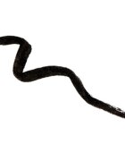 Naj Oleari One Touch Pen Eyeliner tekoče črtalo v peresu za ženske 1 ml