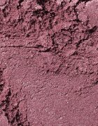 Nars Powder Blush dolgoobstojno rdečilo odtenek HUNGER 4.8 g