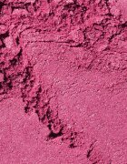 Nars Powder Blush dolgoobstojno rdečilo odtenek WILD BUNCH 4.8 g