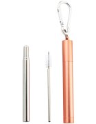 Naturalis Stainless Steel Straw Telescopic set za vsakodnevno uporabo
