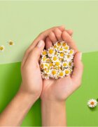 Naturella Normal Plus vložki 18 kos
