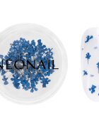 NeoNail Dried Flowers sušen cvet za nohte odtenek 04 Navy 1 kos