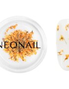 NeoNail Dried Flowers sušen cvet za nohte odtenek Orange 1 kos