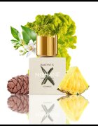 Nishane Hacivat X parfumski ekstrakt uniseks 100 ml