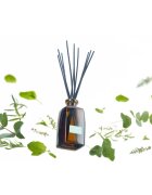 Notino Reed Diffuser Eucalyptus & Mint aroma difuzor 250 ml