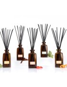 Notino Reed Diffuser Eucalyptus & Mint aroma difuzor 250 ml