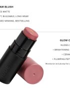 Nudestix Nudies Matte + Glow Core večnamensko ličilo za oči ustnice in obraz odtenek Pink Ice 6 g