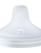 NUK Perfect Match Spare Spout nadomestni ustnik 6m+ 2 kos