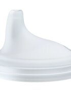 NUK Perfect Match Spare Spout nadomestni ustnik 6m+ 2 kos