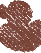 NYX Professional Makeup Duck Plump Liner svinčnik za ustnice z učinkom povečanja odtenek Subtle Touch g
