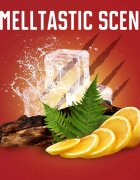 Old Spice Bearglove trdi deodorant za moške 50 ml