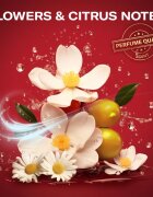 Old Spice Gift Box darilni set za moške