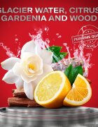 Old Spice Sport Power trdi antiperspirant za moške 50 ml