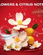 Old Spice Treasure Box darilni set