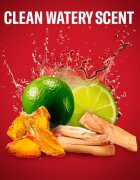 Old Spice Whitewater gel za prhanje 3v1 675 ml