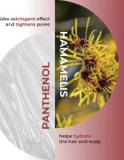Olival Hamamelis šampon za mastno lasišče 250 ml