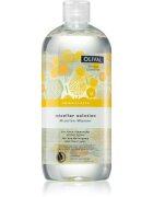 Olival Immortelle Micellar Solution čistilna micelarna voda 500 ml