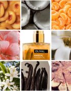 Olival Magical Gloden Oil večnamensko suho olje z bleščicami za obraz telo in lase 50 ml
