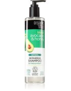 Organic Shop Natural Avocado & Honey regeneracijski šampon za suhe in poškodovane lase 280 ml