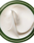 Origins A Perfect World™ Antioxidant Moisturizer With White Tea hranilna antioksidacijska krema 50 ml
