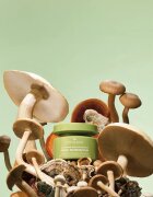 Origins Dr. Andrew Weil for ™ Mega-Mushroom Dark Spot Moisturizer vlažilna krema za poenotenje kože proti nepravilnostim na koži 50 ml