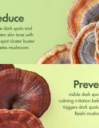 Origins Dr. Andrew Weil for ™ Mega-Mushroom Dark Spot Moisturizer vlažilna krema za poenotenje kože proti nepravilnostim na koži 50 ml