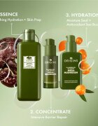 Origins Dr. Andrew Weil for ™ Mega-Mushroom Fortifying Emulsion with Reishi and Seabuckthorn pomirjevalna in vlažilna emulzija 100 ml