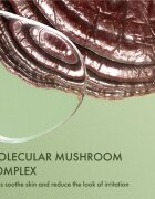 Origins Dr. Andrew Weil for ™ Mega-Mushroom Fortifying Emulsion with Reishi and Seabuckthorn pomirjevalna in vlažilna emulzija 100 ml