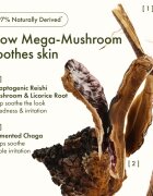 Origins Dr. Andrew Weil for ™ Mega-Mushroom Relief & Resilience Soothing Treatment Lotion mehčalna in pomirjajoča voda za obraz 200 ml