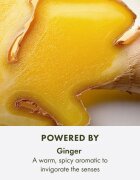 Origins Ginger Essence Sensuous Skin Scent odišavljeno pršilo za telo in lase za ženske 100 ml