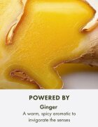 Origins Ginger Essence™ Sensuous Skin Scent Rollerball spodbujajoč roll-on uniseks 10 ml