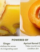 Origins Ginger Souffle™ Whipped Body Cream nežna krema za telo 200 ml