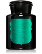 Paddywax Apothecary Noir Tabac & Pine dišeča sveča 226 g