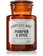 Paddywax Apothecary Pumpkin Spice dišeča sveča 226 g