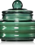 Paddywax Beam Cypress & Fir dišeča sveča 85 g