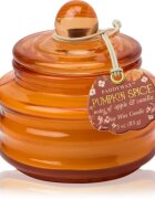 Paddywax Pumpkin Spice dišeča sveča 58 g