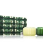 Paddywax Ripple Secret Garden + Wild Fig & Cedar darilni set
