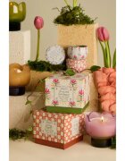 Paddywax Tulip Bronzed Gardenia dišeča sveča 155 g