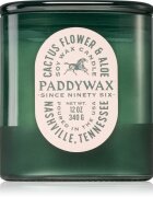 Paddywax Vista Cactus Flower & Aloe dišeča sveča 340 g