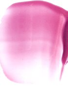 Paese Beauty Lipgloss With Meadowfoam Seed Oil vlažilni sijaj za ustnice odtenek 06 Vivid 3.4 ml