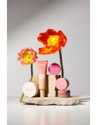 Paese Beauty Powder puder v prahu 10 g